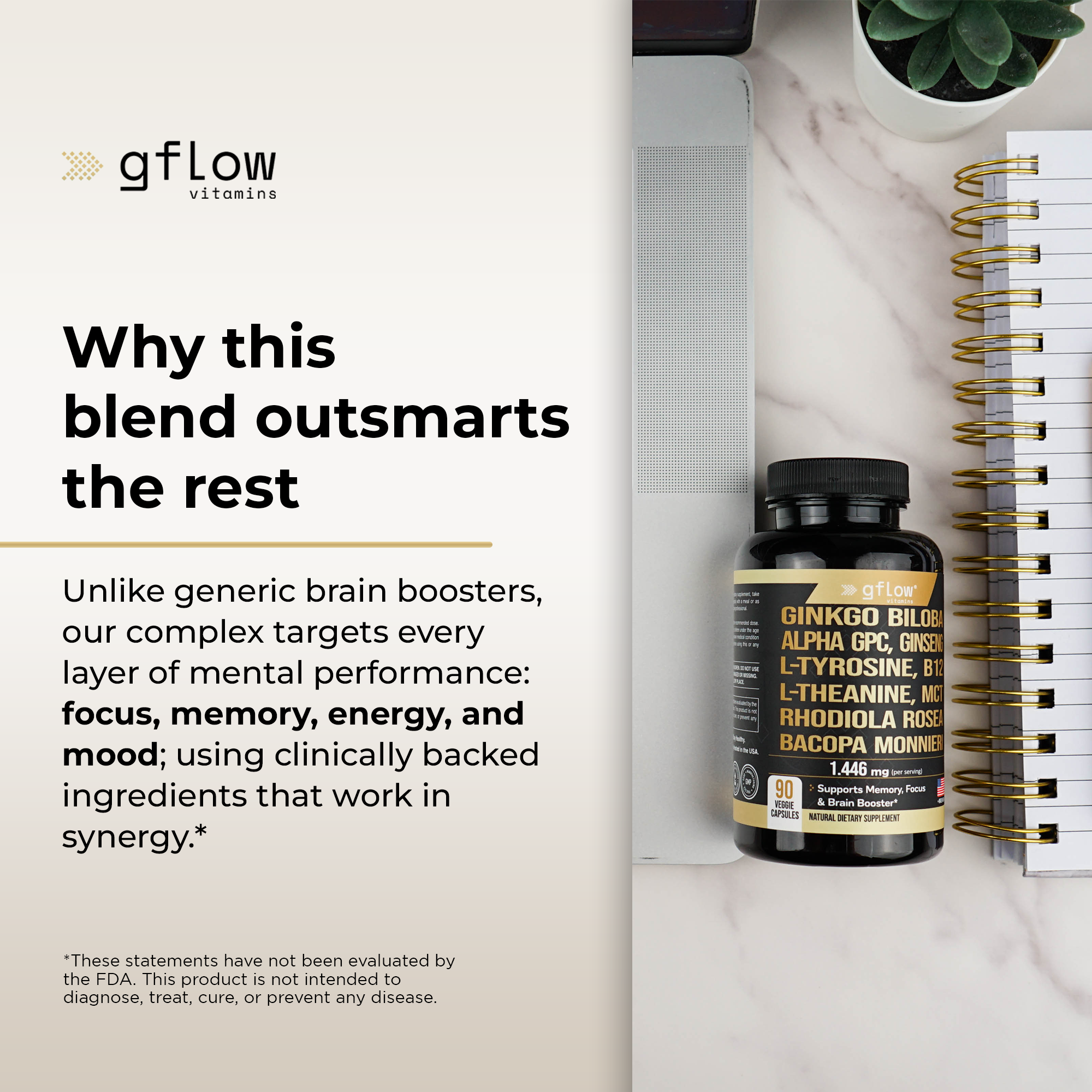 Ginkgo Biloba + Alpha GPC Complex