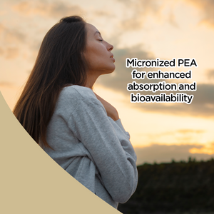 PEA (Palmitoylethanolamide) with Quercetin Phytosome