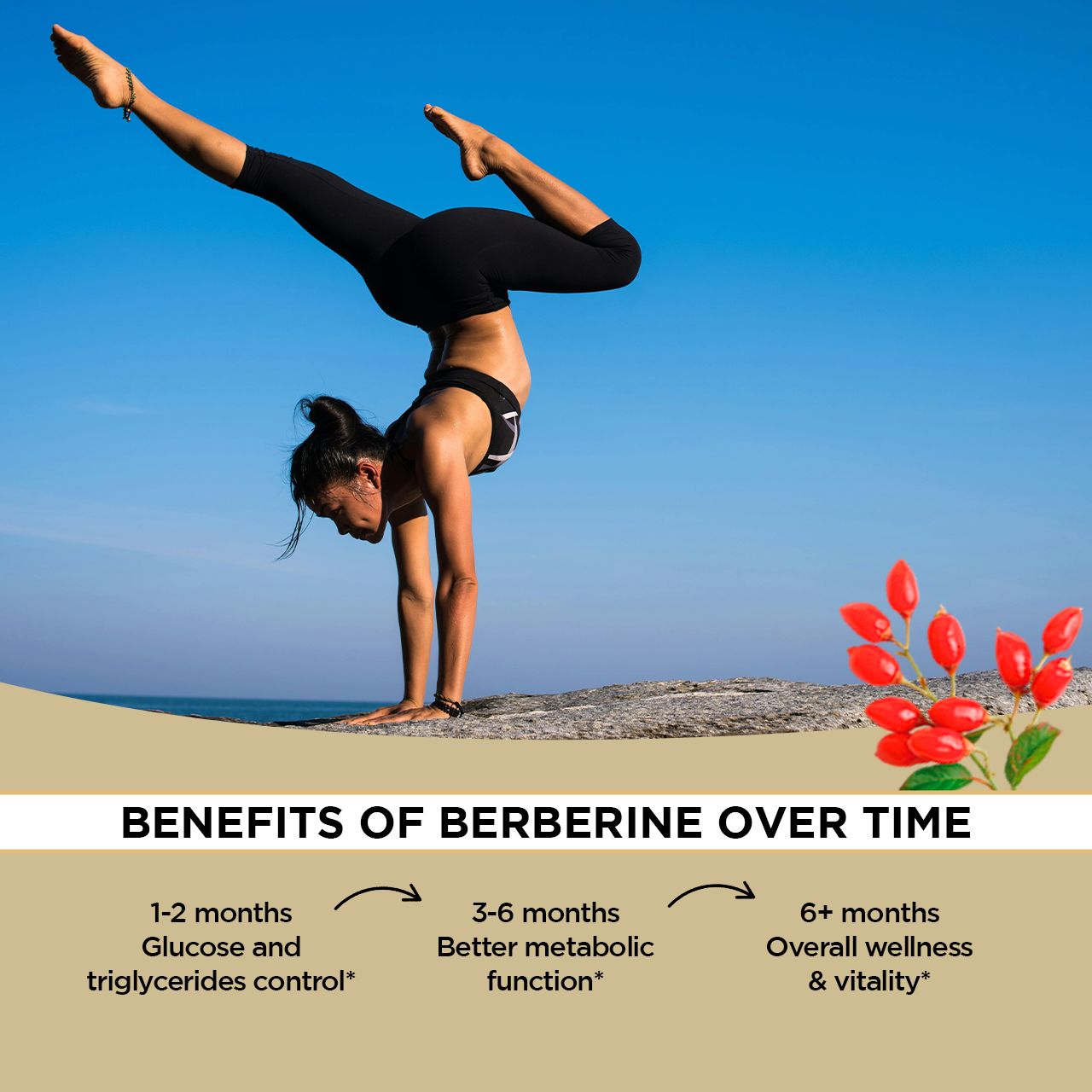 Berberine HCl 1,200 mg
